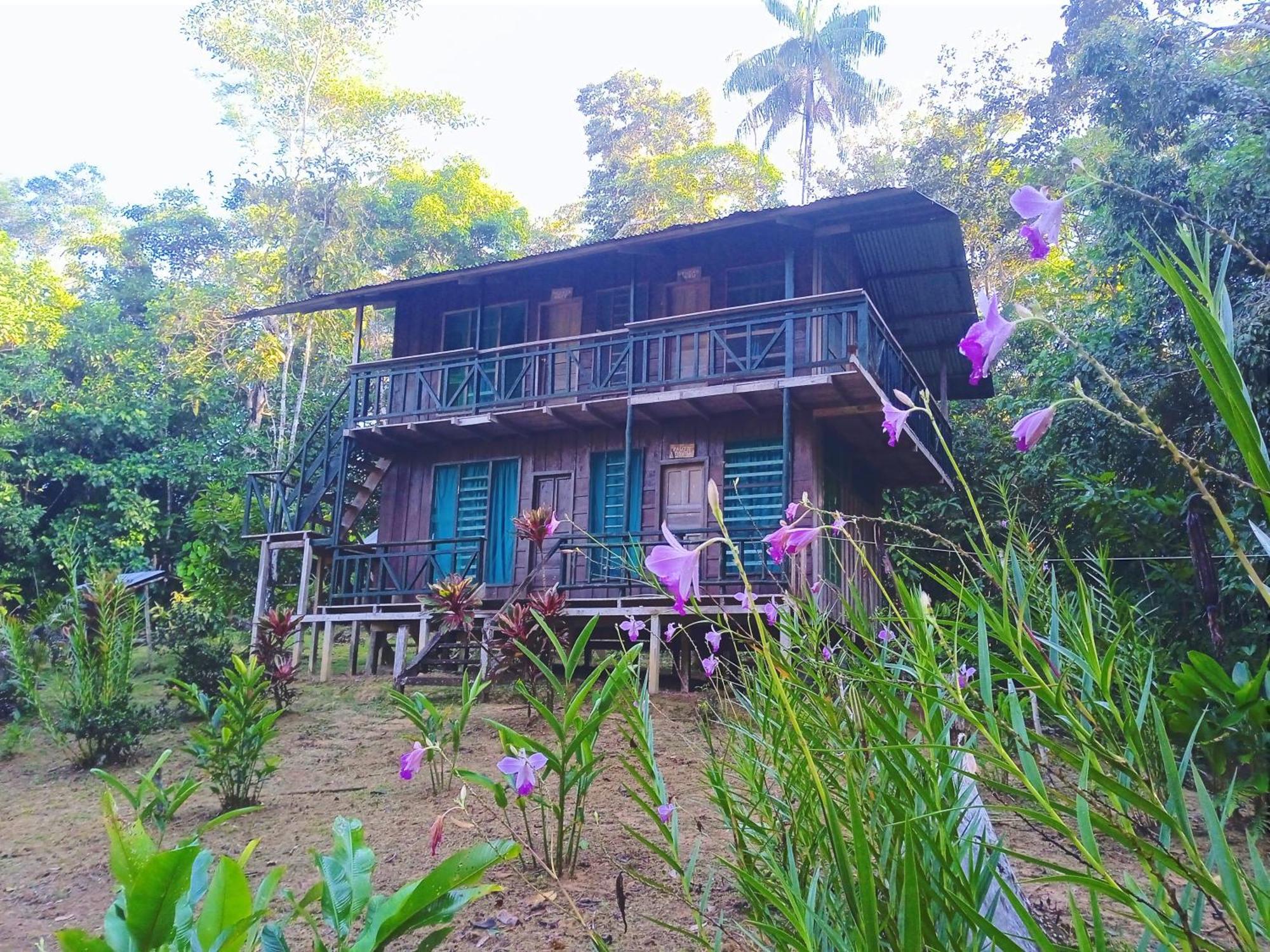 Cabanas Eco Logicas Mu'Ue Loreto Mocagua Exterior foto