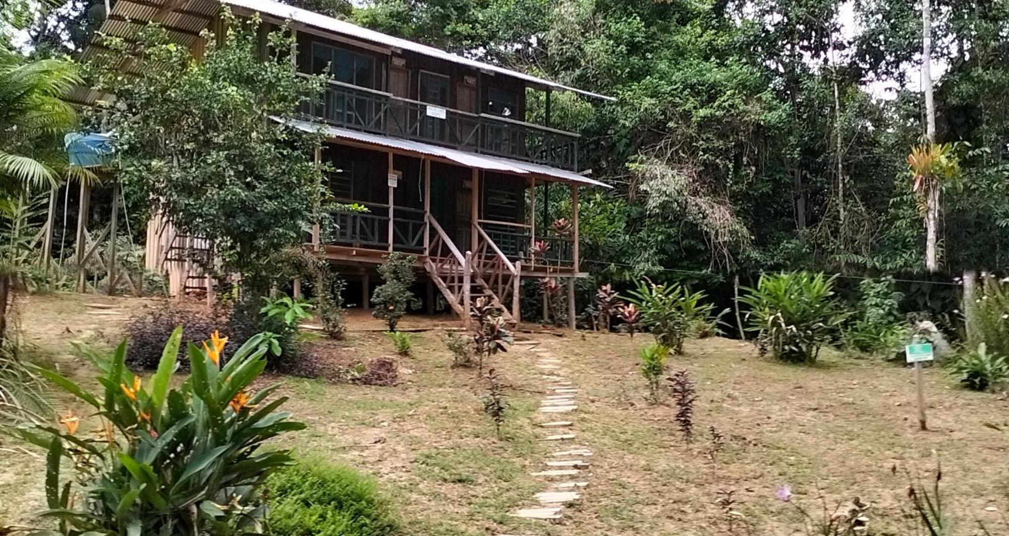 Cabanas Eco Logicas Mu'Ue Loreto Mocagua Exterior foto